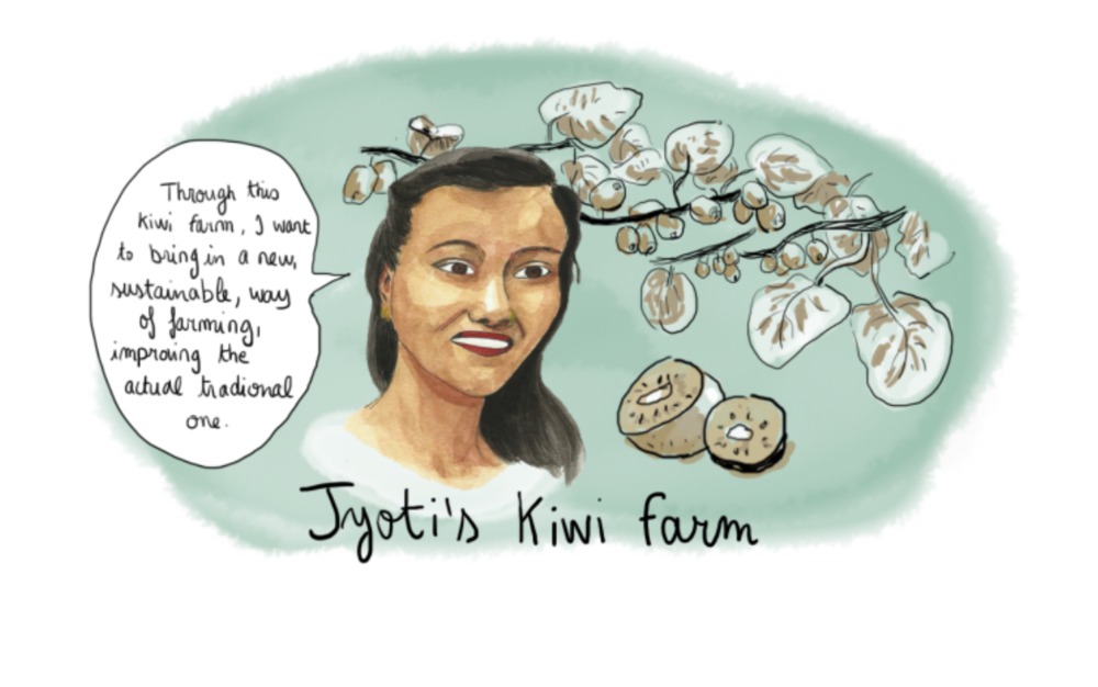 Illustration: Jyoti’s kiwi farm