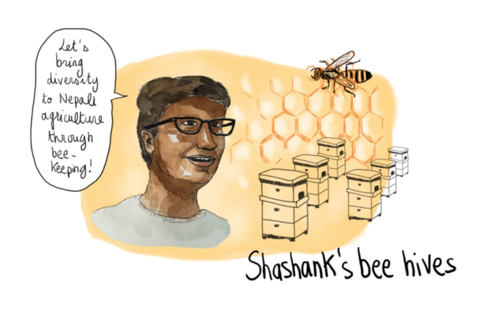 Illustration: Shashank and his bee hives — “Let’s bring diversity to Nepali agriculture through beekeeping!”